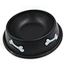 water bowl pet